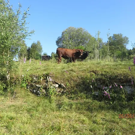 Сasa de vacaciones Bergblick *