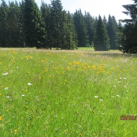 Bergblick * Goldlauter-Heidersbach