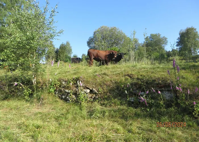 Tatil Evi Bergblick *