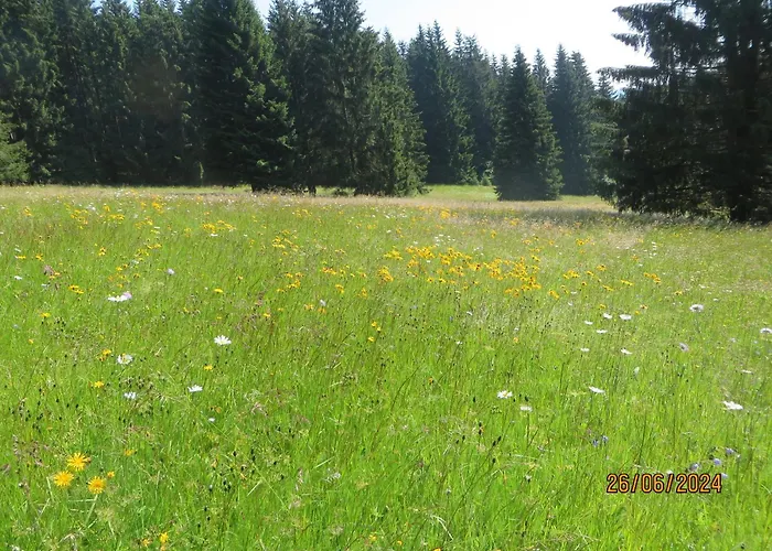 Bergblick * Goldlauter-Heidersbach