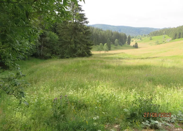 Bergblick Tatil Evi *