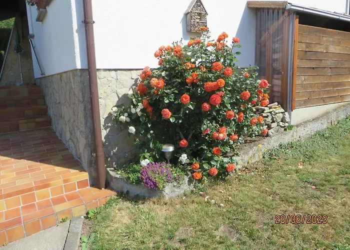 Bergblick * Goldlauter-Heidersbach